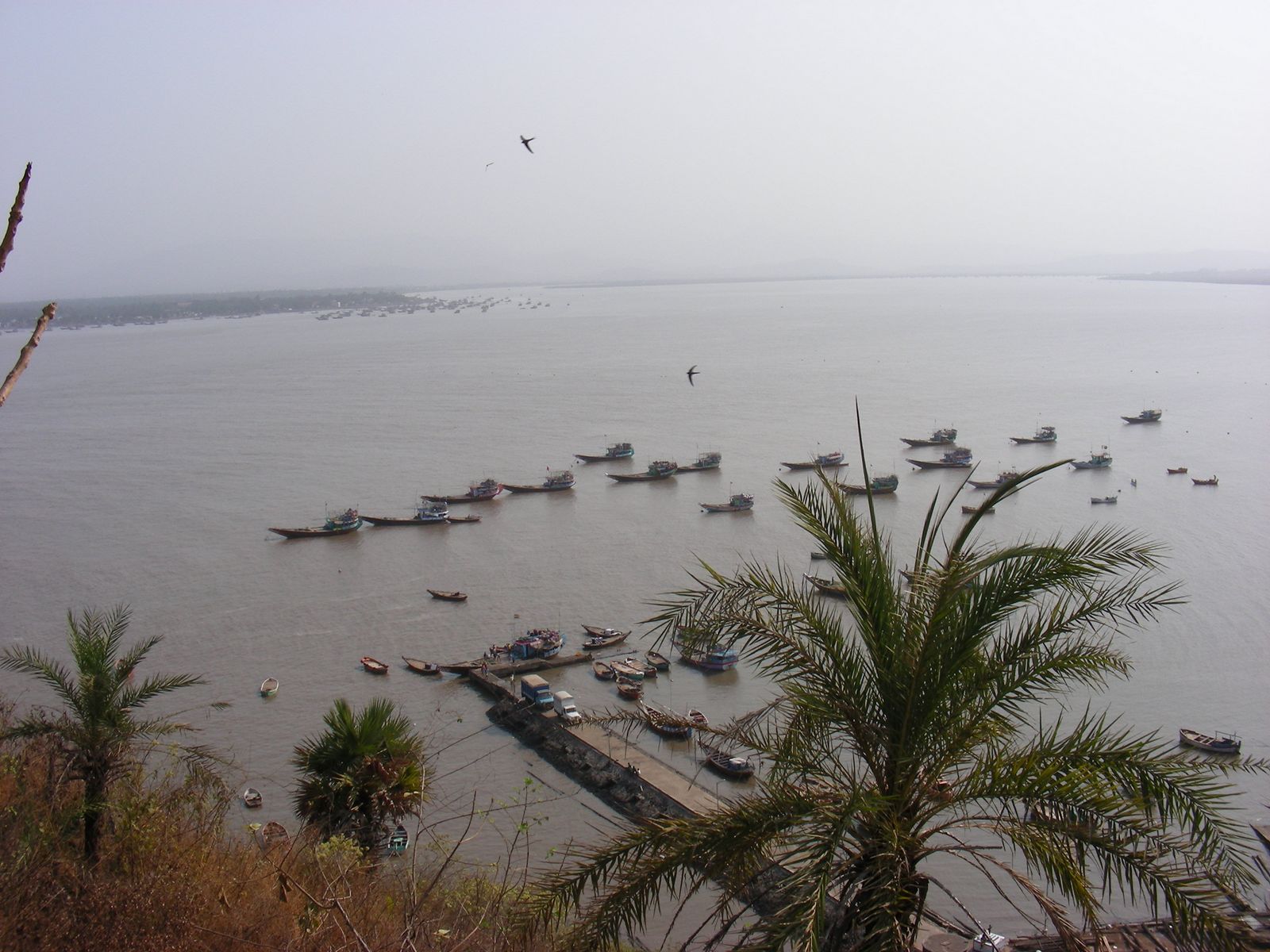 Vasai Creek Dharavi Fort